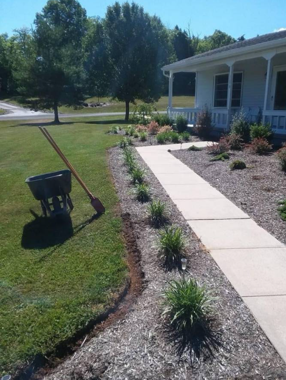Fresh mulch and plantings along a concrete walkway