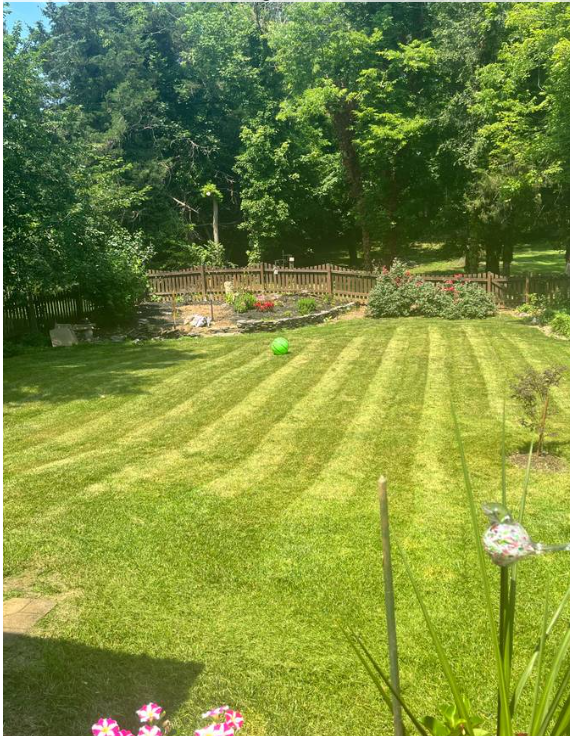 Freshly mowed lawn with striping